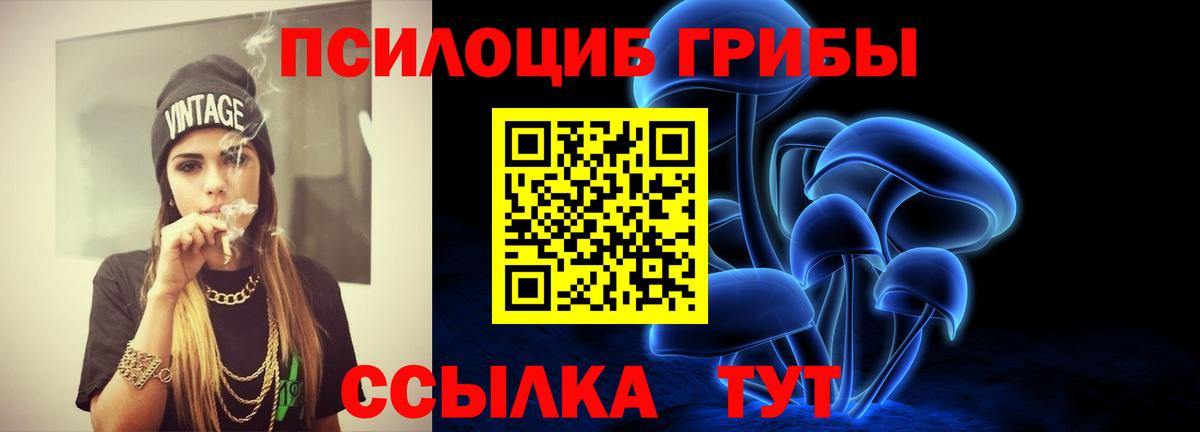 Звенигород  Псилоцибиновые грибы Cubensis  Вход с VPN 